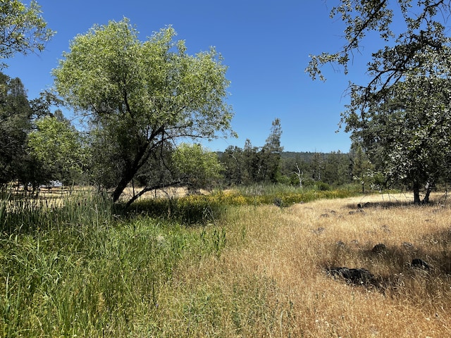 Wilson Hill Rd, Manton, CA 96059