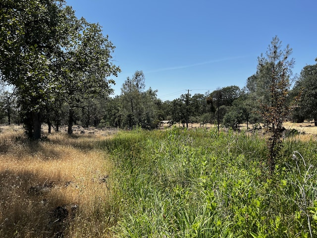 Wilson Hill Rd, Manton, CA 96059