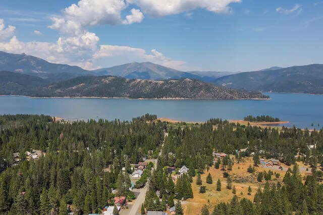 100 Eleanore Ln, Trinity Center, CA 96091 - aerial view of a water and mountain view and a forest