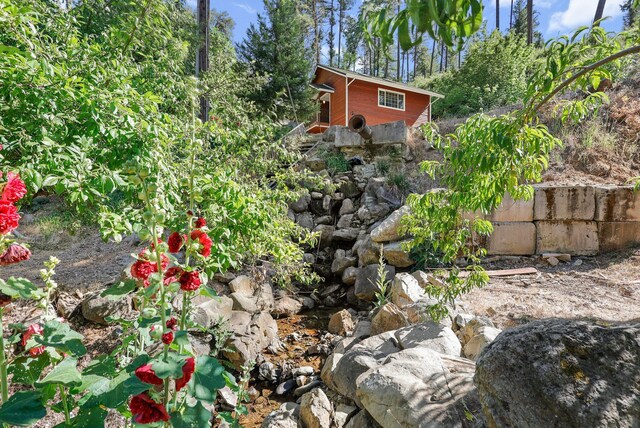 19250 Coal Creek Rd, Lakehead, CA 96051 - view of yard