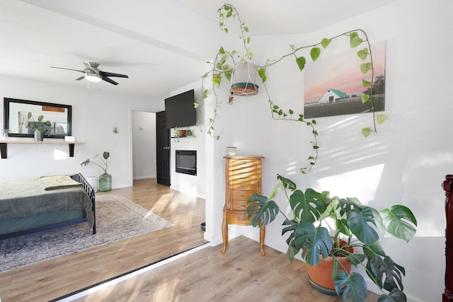3055 Ryan Ln, Redding, CA 96003 - living room featuring a glass covered fireplace, wood finished floors, and ceiling fan
