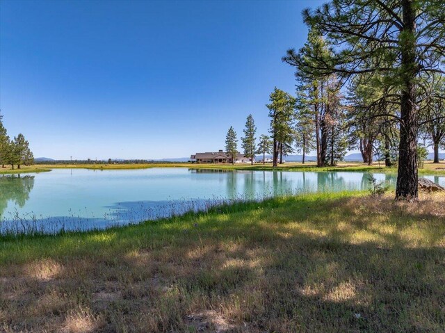 41494 Gomez Rd, Fall River Mills, CA 96028 - photo 54