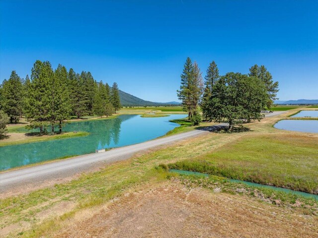 41494 Gomez Rd, Fall River Mills, CA 96028 - photo 55