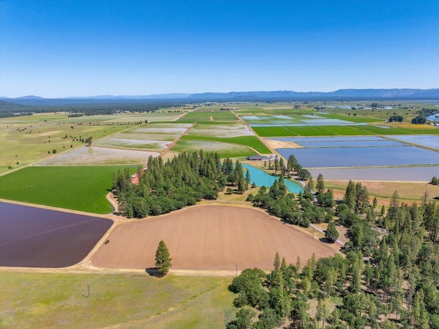 41494 Gomez Rd, Fall River Mills, CA 96028 - photo 58