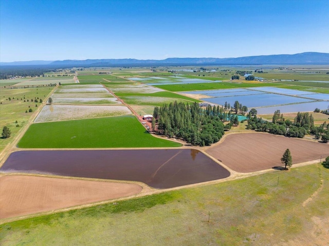 41494 Gomez Rd, Fall River Mills, CA 96028 - photo 59