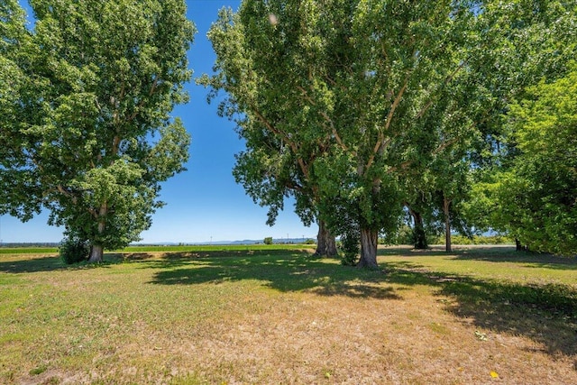 41494 Gomez Rd, Fall River Mills, CA 96028 - photo 70