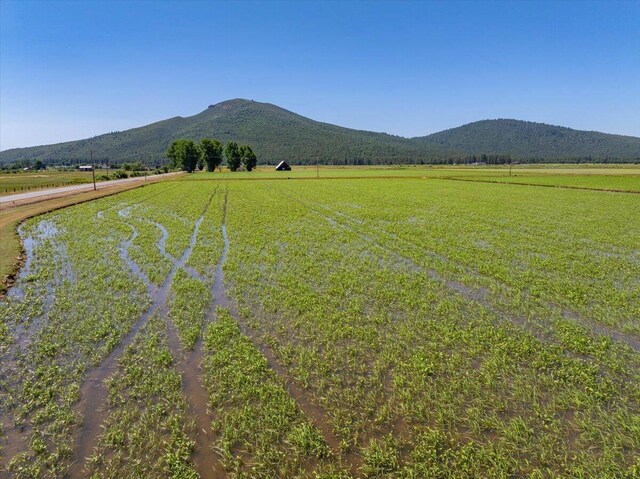 41494 Gomez Rd, Fall River Mills, CA 96028 - photo 78