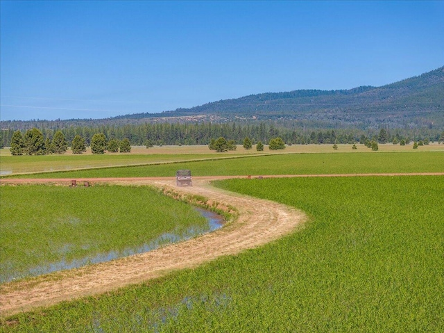 41494 Gomez Rd, Fall River Mills, CA 96028 - photo 81