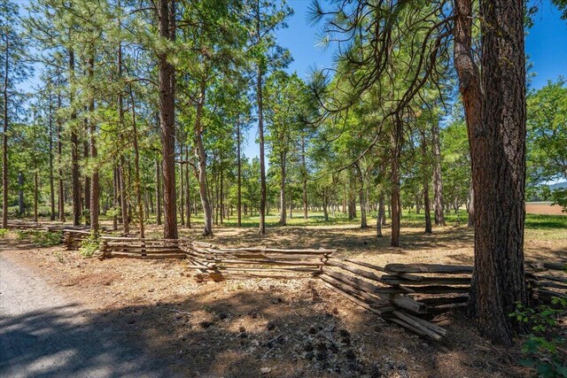 41494 Gomez Rd, Fall River Mills, CA 96028 - photo 83