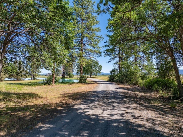 41494 Gomez Rd, Fall River Mills, CA 96028 - photo 84