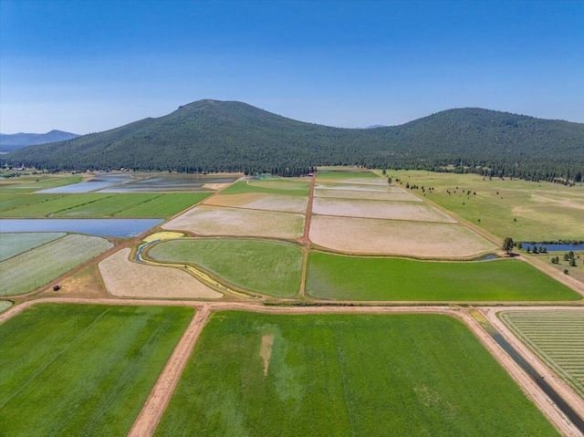 41494 Gomez Rd, Fall River Mills, CA 96028 - photo 85