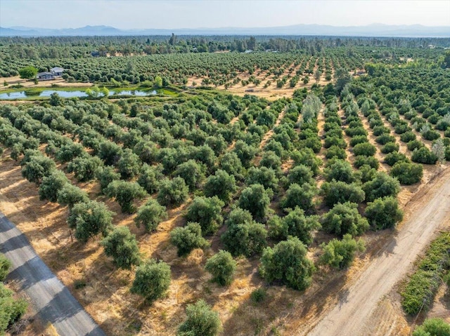 0 Sara Jane Ln, Anderson, CA 96007