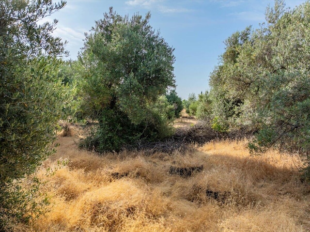 0 Sara Jane Ln, Anderson, CA 96007