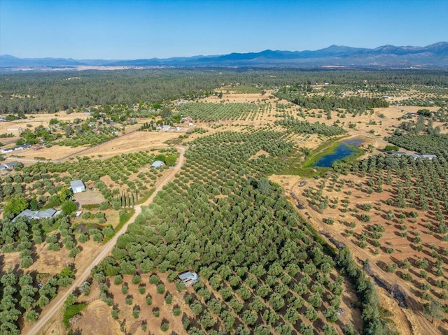 0 Sara Jane Ln, Anderson, CA 96007