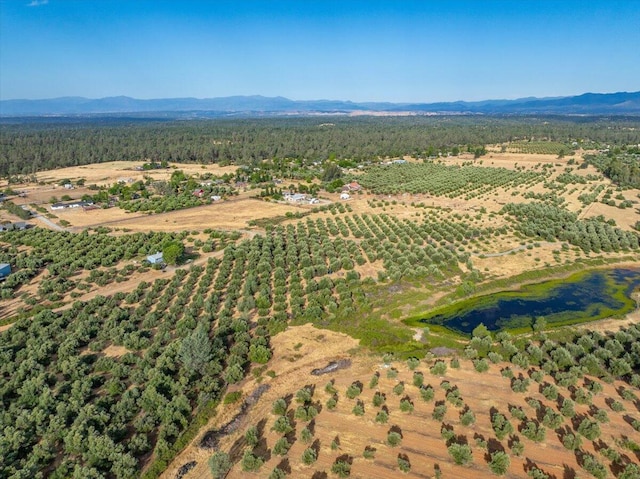 0 Sara Jane Ln, Anderson, CA 96007
