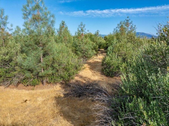 0 Sara Jane Ln, Anderson, CA 96007