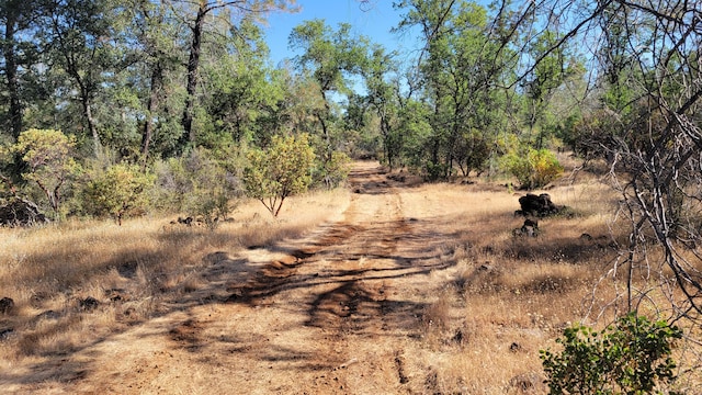 LOT21 Lack Creek Dr, Shingletown, CA 96088 - photo 3