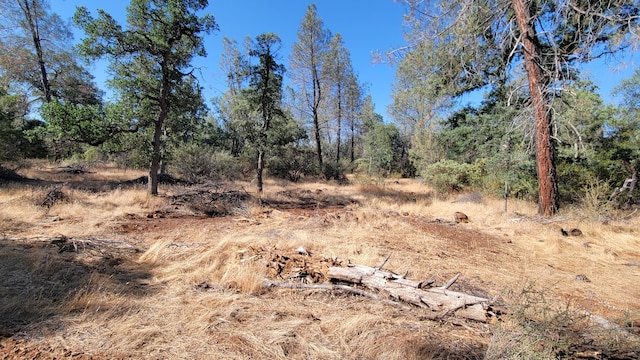 LOT21 Lack Creek Dr, Shingletown, CA 96088 - photo 4