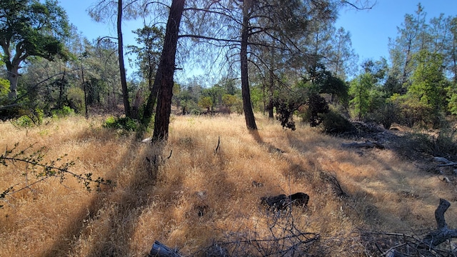 LOT21 Lack Creek Dr, Shingletown, CA 96088 - photo 6