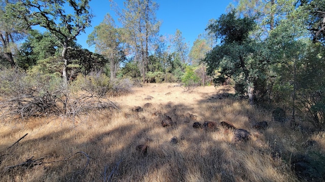 LOT21 Lack Creek Dr, Shingletown, CA 96088 - photo 7
