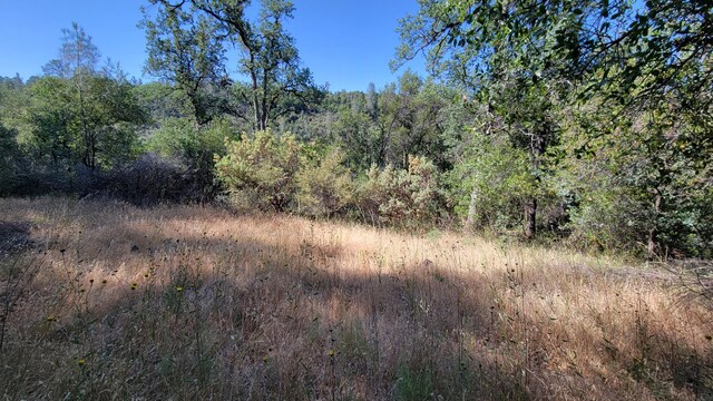 LOT21 Lack Creek Dr, Shingletown, CA 96088 - photo 9