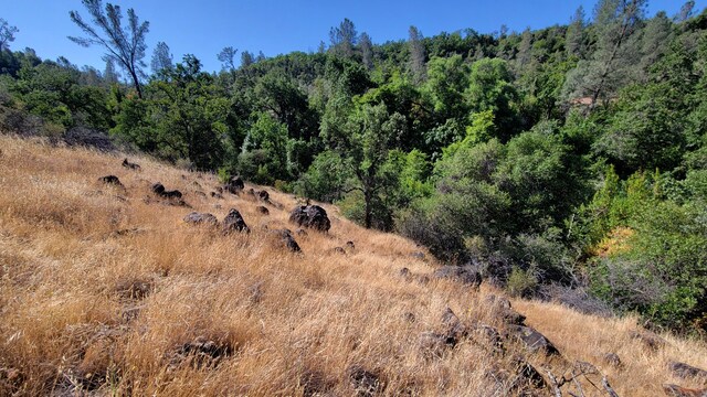 LOT21 Lack Creek Dr, Shingletown, CA 96088 - photo 10