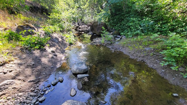 LOT21 Lack Creek Dr, Shingletown, CA 96088 - photo 12