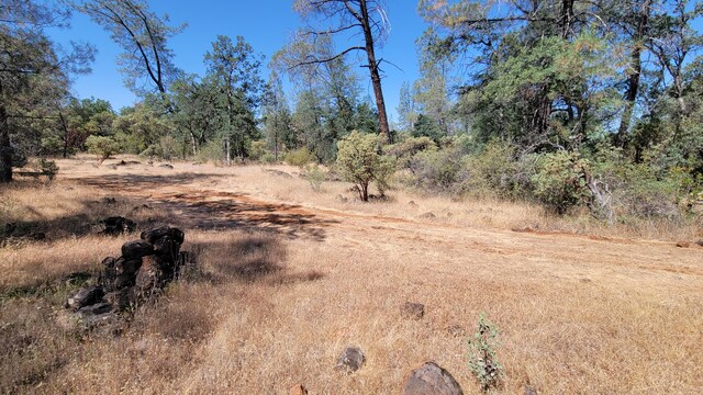 LOT21 Lack Creek Dr, Shingletown, CA 96088 - photo 22