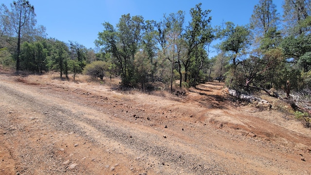 LOT21 Lack Creek Dr, Shingletown, CA 96088 - photo 23