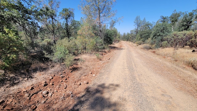 LOT21 Lack Creek Dr, Shingletown, CA 96088 - photo 24