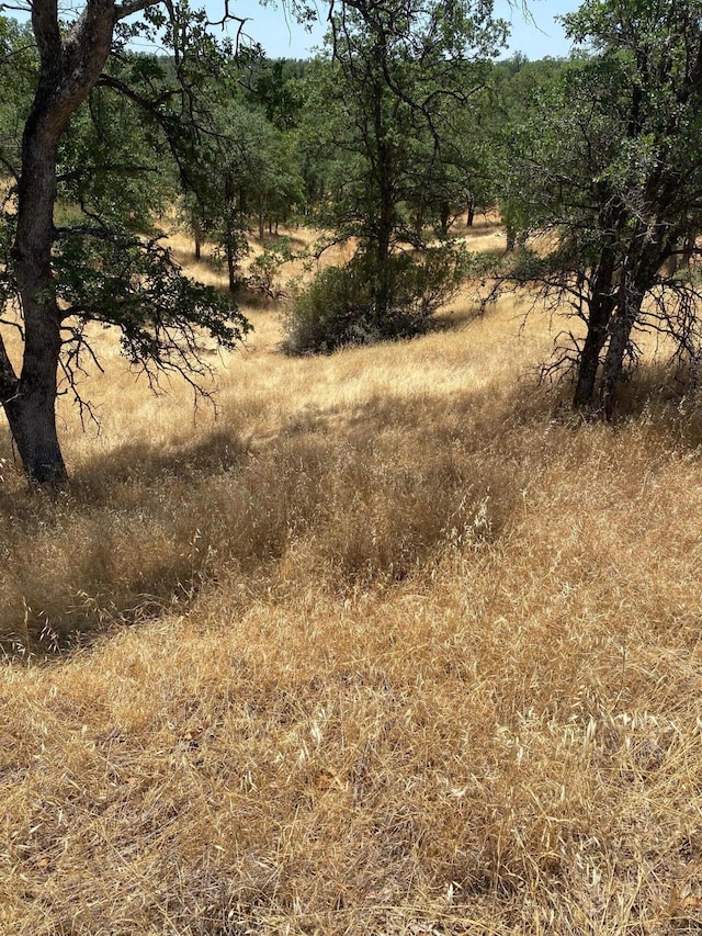 Quail Ridge Rd, Cottonwood, CA 96022 - photo 4