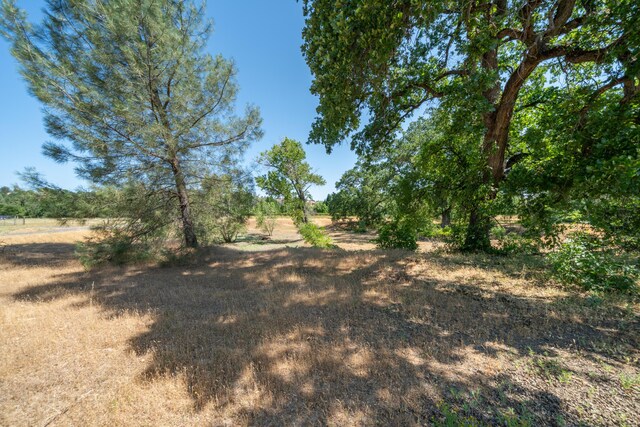 10855 Beaver Rd, Oak Run, CA 96069 - photo 59