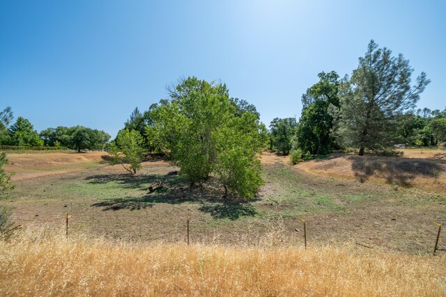 10855 Beaver Rd, Oak Run, CA 96069 - photo 54