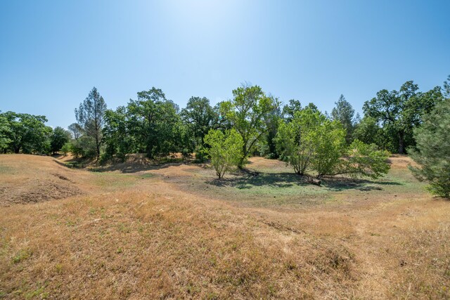 10855 Beaver Rd, Oak Run, CA 96069 - photo 55
