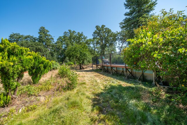 10855 Beaver Rd, Oak Run, CA 96069 - photo 61