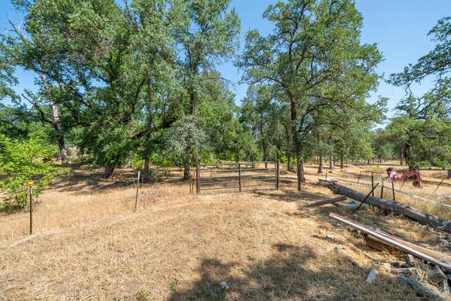 10855 Beaver Rd, Oak Run, CA 96069 - photo 65