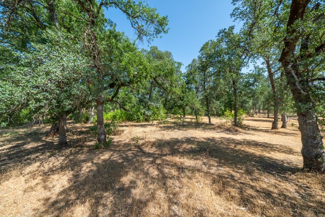 10855 Beaver Rd, Oak Run, CA 96069 - photo 66