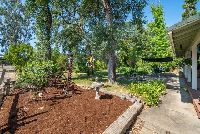 10855 Beaver Rd, Oak Run, CA 96069 - photo 46