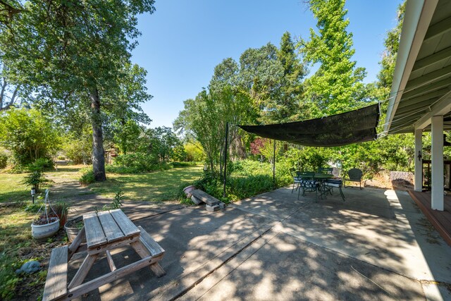10855 Beaver Rd, Oak Run, CA 96069 - photo 49
