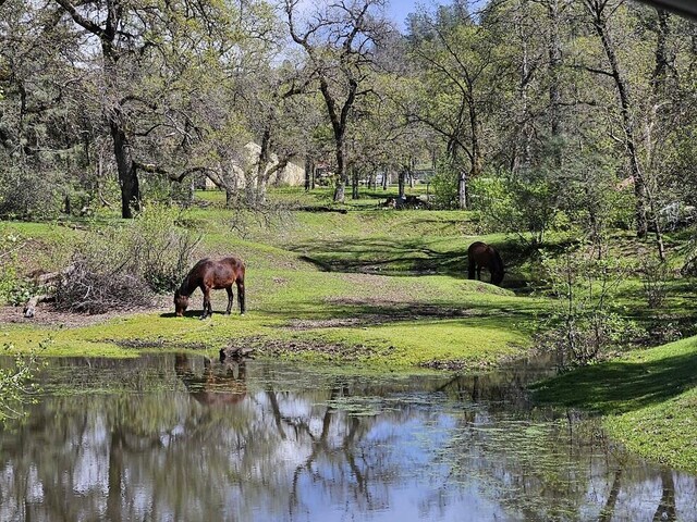 10855 Beaver Rd, Oak Run, CA 96069 - photo 40