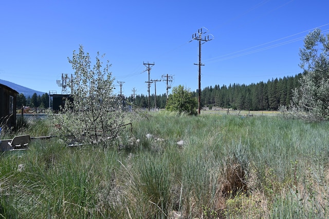 37013 Gunsmith Way, Burney, CA 96013 - photo 5