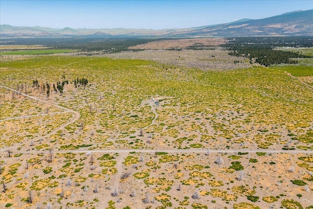 7609 Juniper Valley Dr, Weed, CA 96094 - photo 3