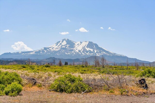 7609 Juniper Valley Dr, Weed, CA 96094 - photo 9