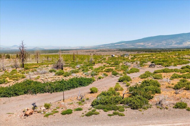 7609 Juniper Valley Dr, Weed, CA 96094 - photo 10