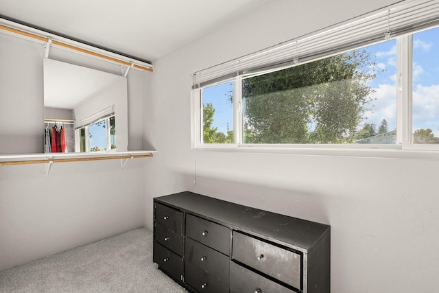 3428 Adams Ln, Redding, CA 96002 - detailed view of carpet floors