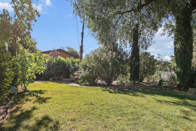 3428 Adams Ln, Redding, CA 96002 - view of green lawn