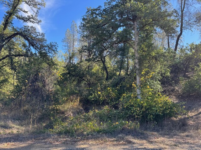12694 Walker Mine Rd, Redding, CA 96003 - photo 10