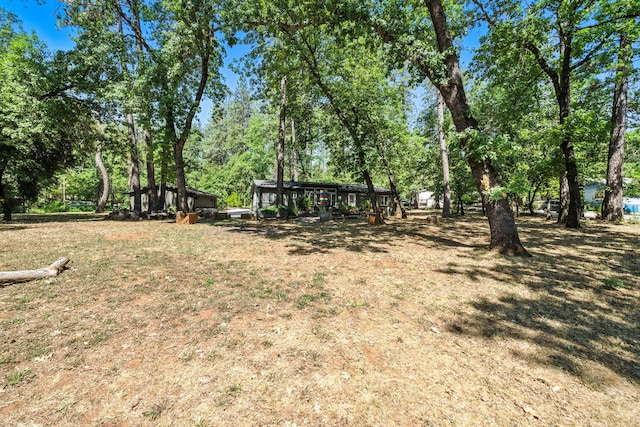 20775 Oak St, Lakehead, CA 96051 - photo 26