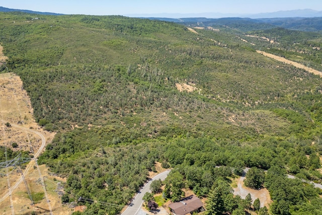 Frisby Rd, Round Mountain, CA 96084 - photo 3