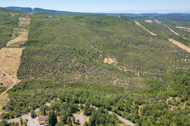 Frisby Rd, Round Mountain, CA 96084 - photo 4